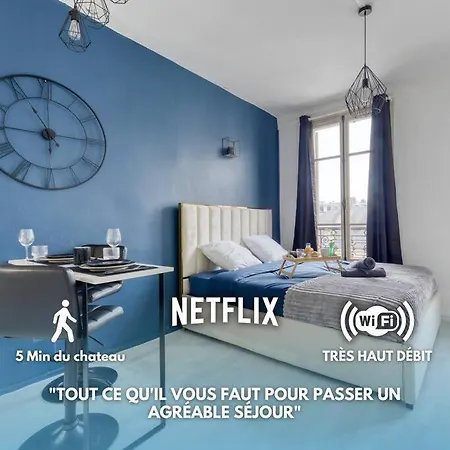 Guest Loc-le Saphir-3min Chateau * Versay