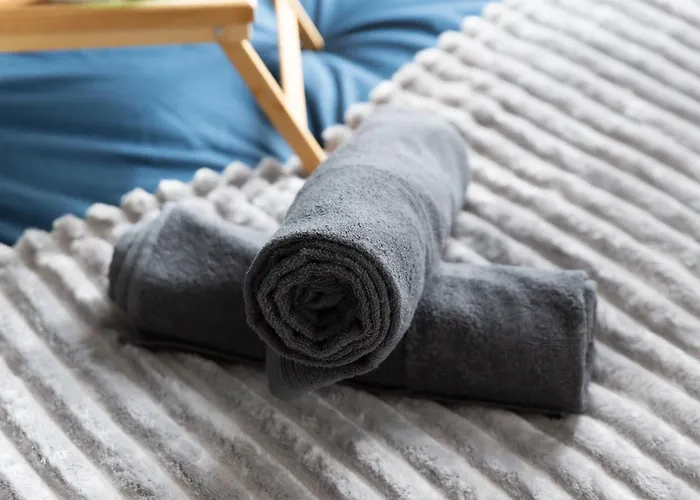 Guest Loc-le Saphir-3min Chateau Versailles