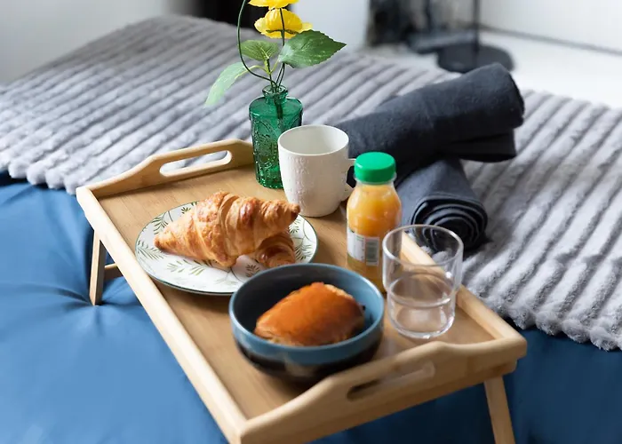 Guest Loc-le Saphir-3min Chateau Versailles